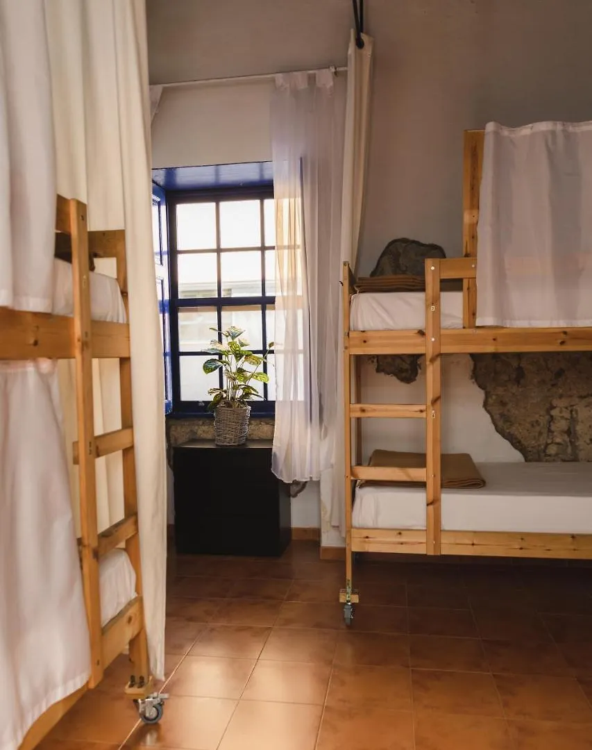 Ashavana Nest Hostel