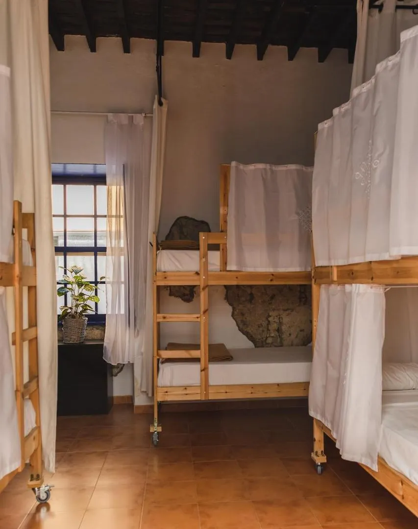 Ashavana Nest Hostel