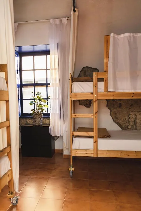 Ashavana Nest Hostel