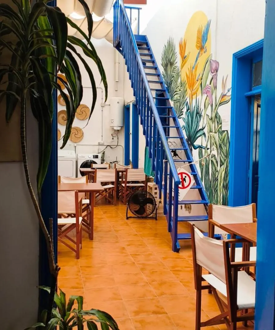 Ashavana Nest Hostel
