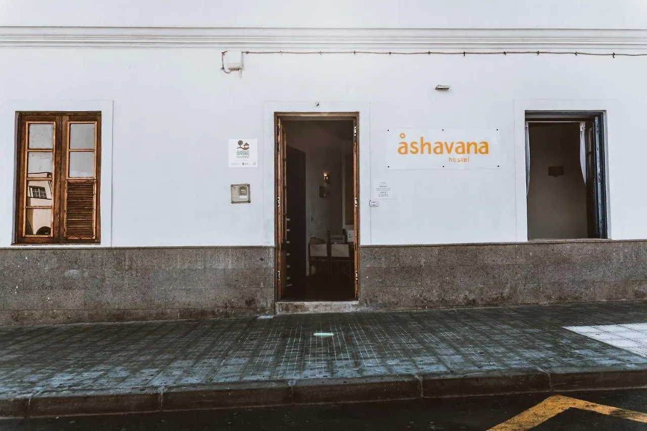 Ashavana Nest Hostel Spain